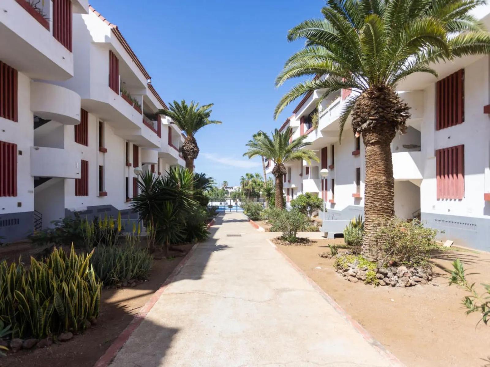 Apartment Edificio Altemar Плая-де-лас-Америкас Экстерьер фото